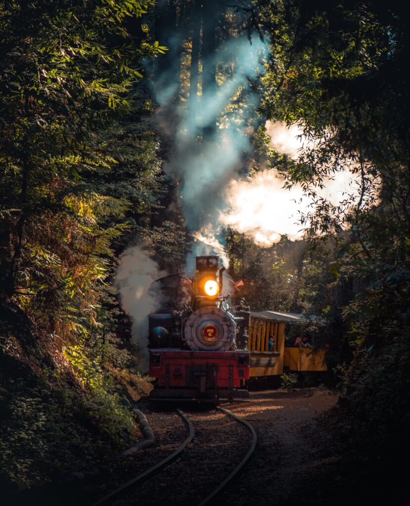 Skunk Train: A Unique Experience through the Redwoods
