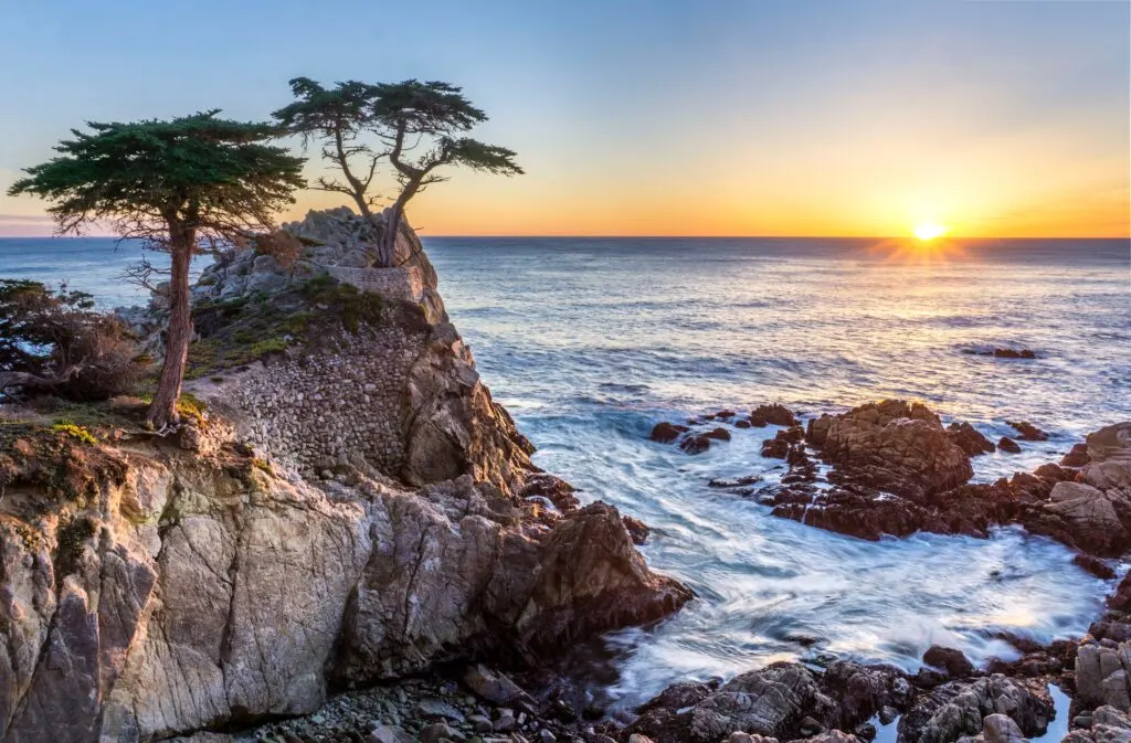 Lone Cypress, Del Monte Forest, United States