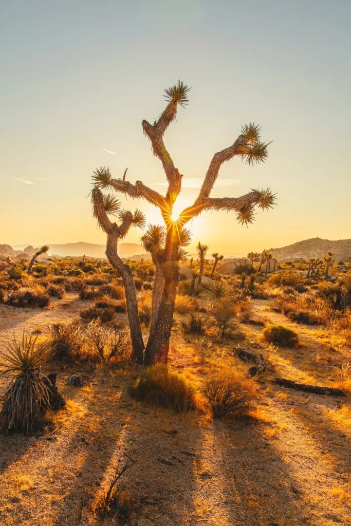 Southern California Day Trips on a Budget: Affordable Ways to Explore the Region