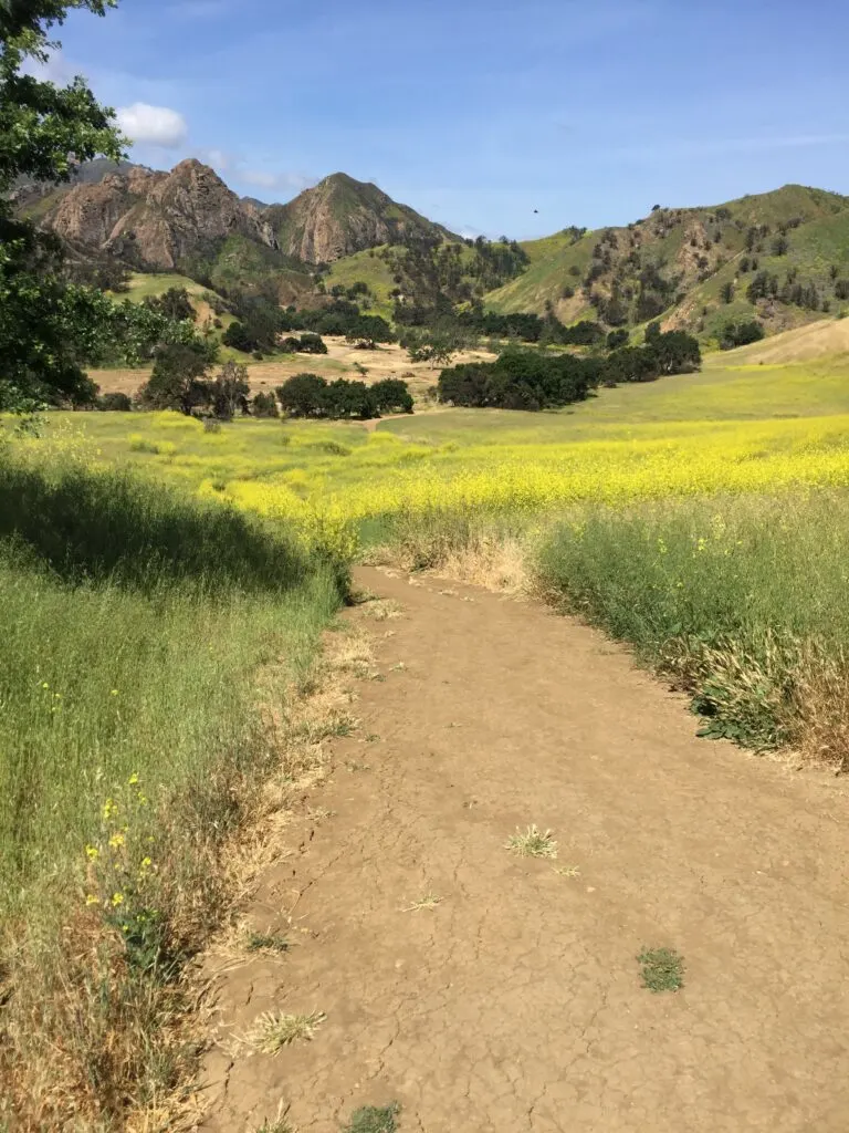 Malibu Creek State Park