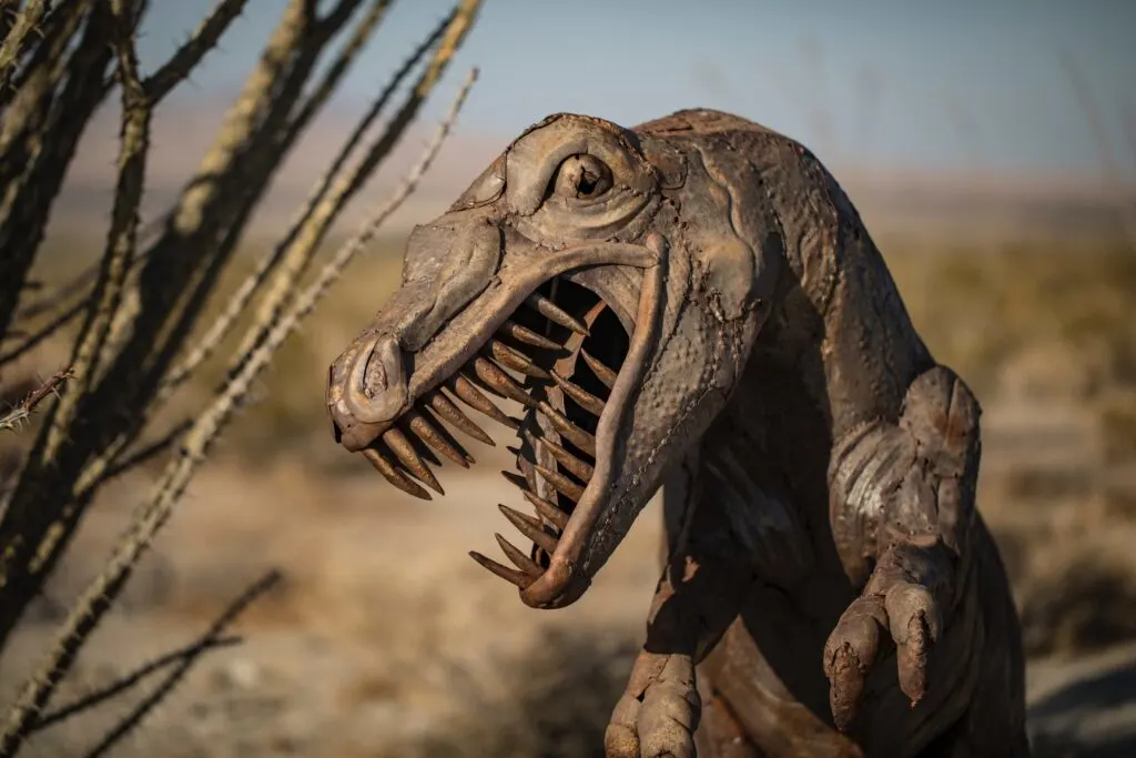 8 Hidden Gems in California 1 Borrego Springs