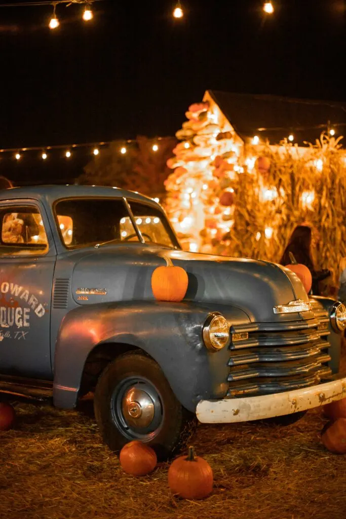 Best Pumpkin Patches in California: Fall Fun for the Whole Family