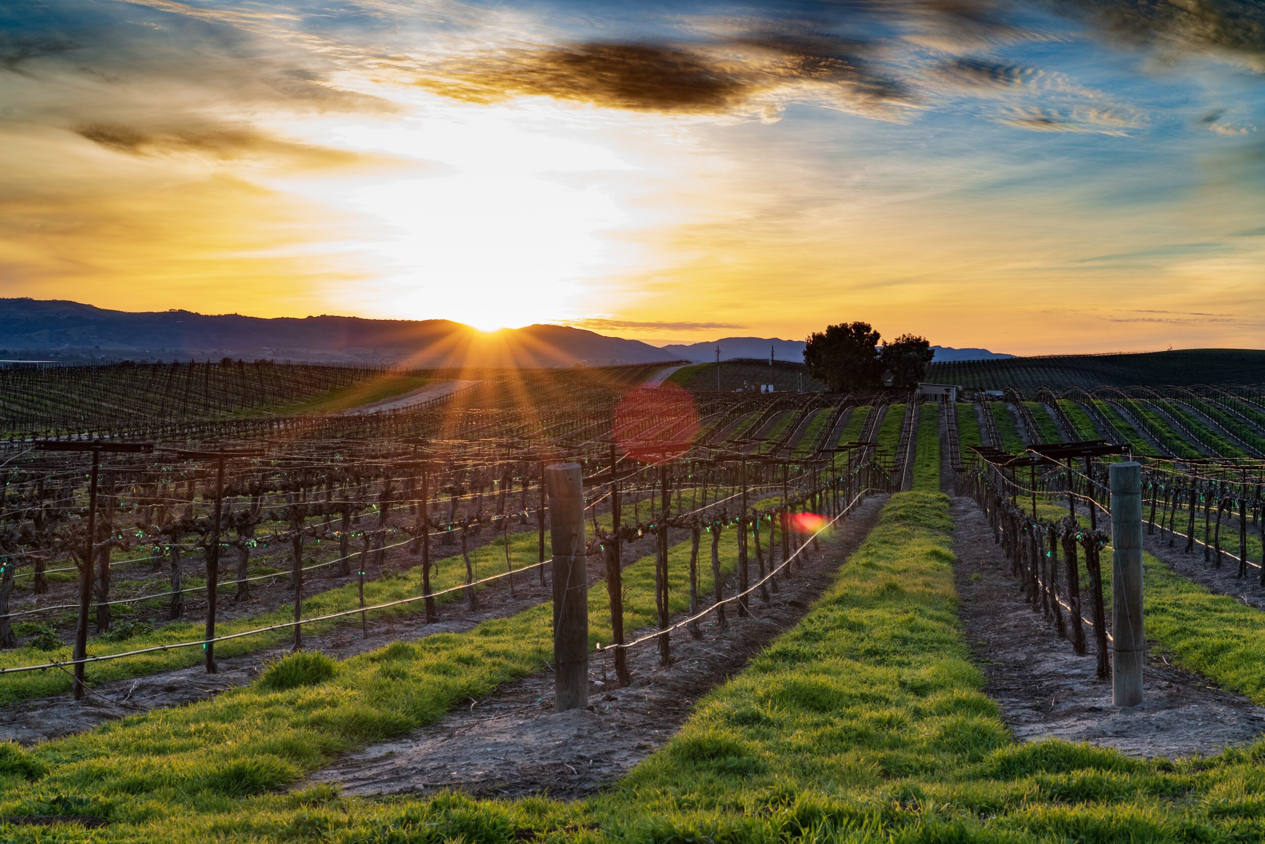 Coastal Towns in San Luis Obispo County