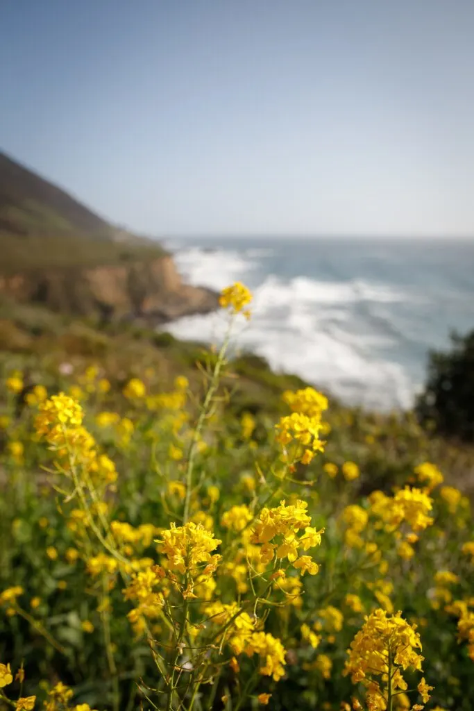 Coastal Towns in San Luis Obispo County - Cambria