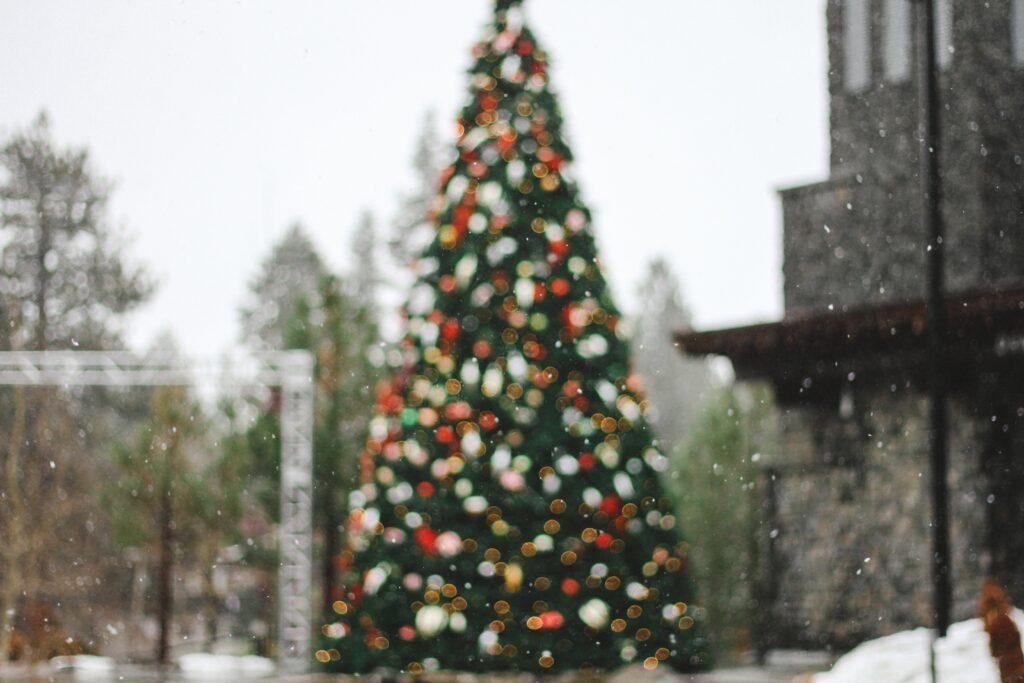 Christmas Events in Northern California: Festive Activities to Enjoy This Holiday Season