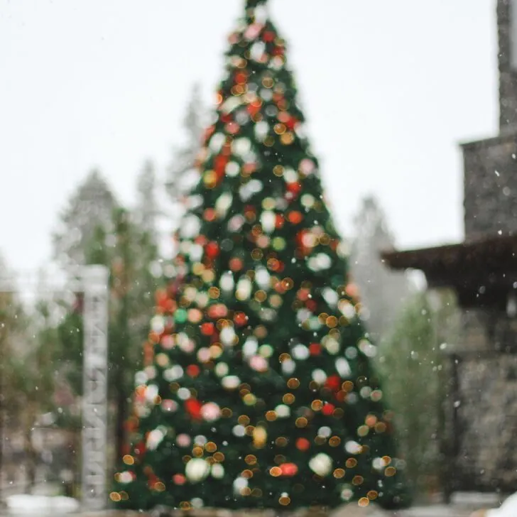 Christmas Events in Northern California: Festive Activities to Enjoy This Holiday Season