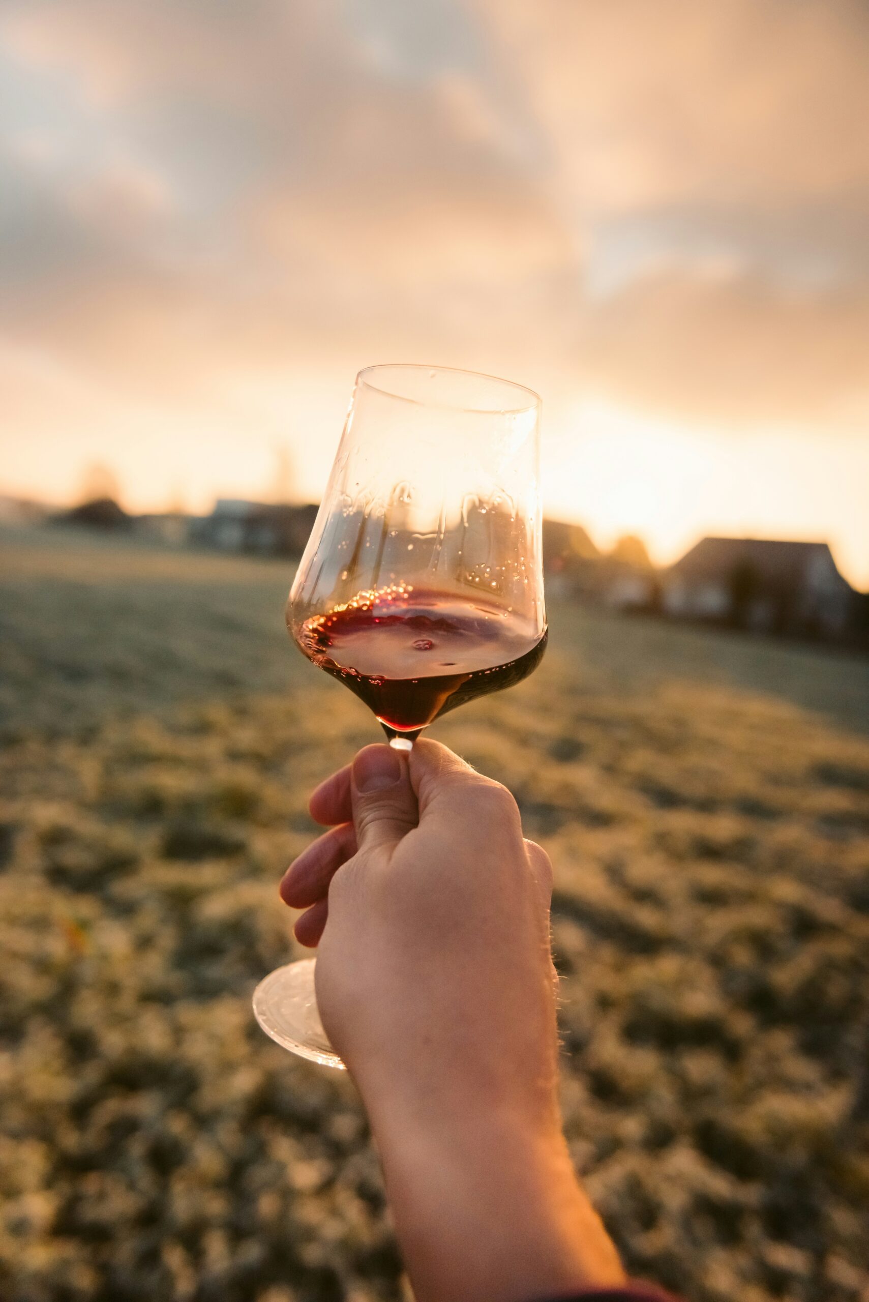 Best Wineries in Ventura County: A Guide to Tasting and Touring