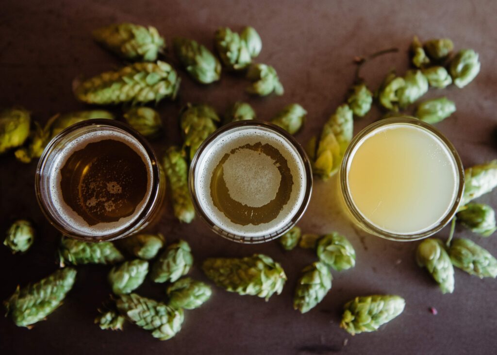 Best Breweries in Ventura County for Beer Lovers
