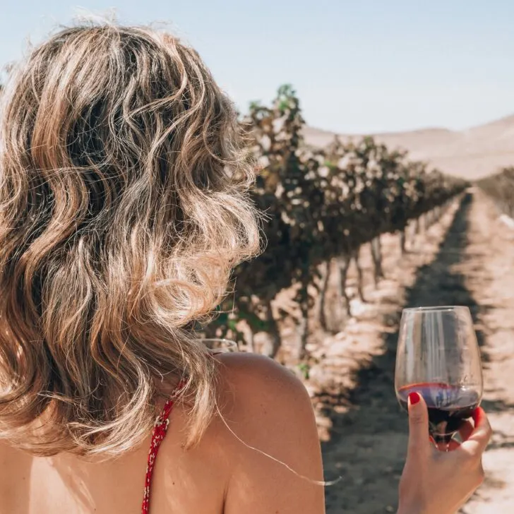 Santa Barbara Wineries: A Guide to the Best Vineyards and Tasting Rooms