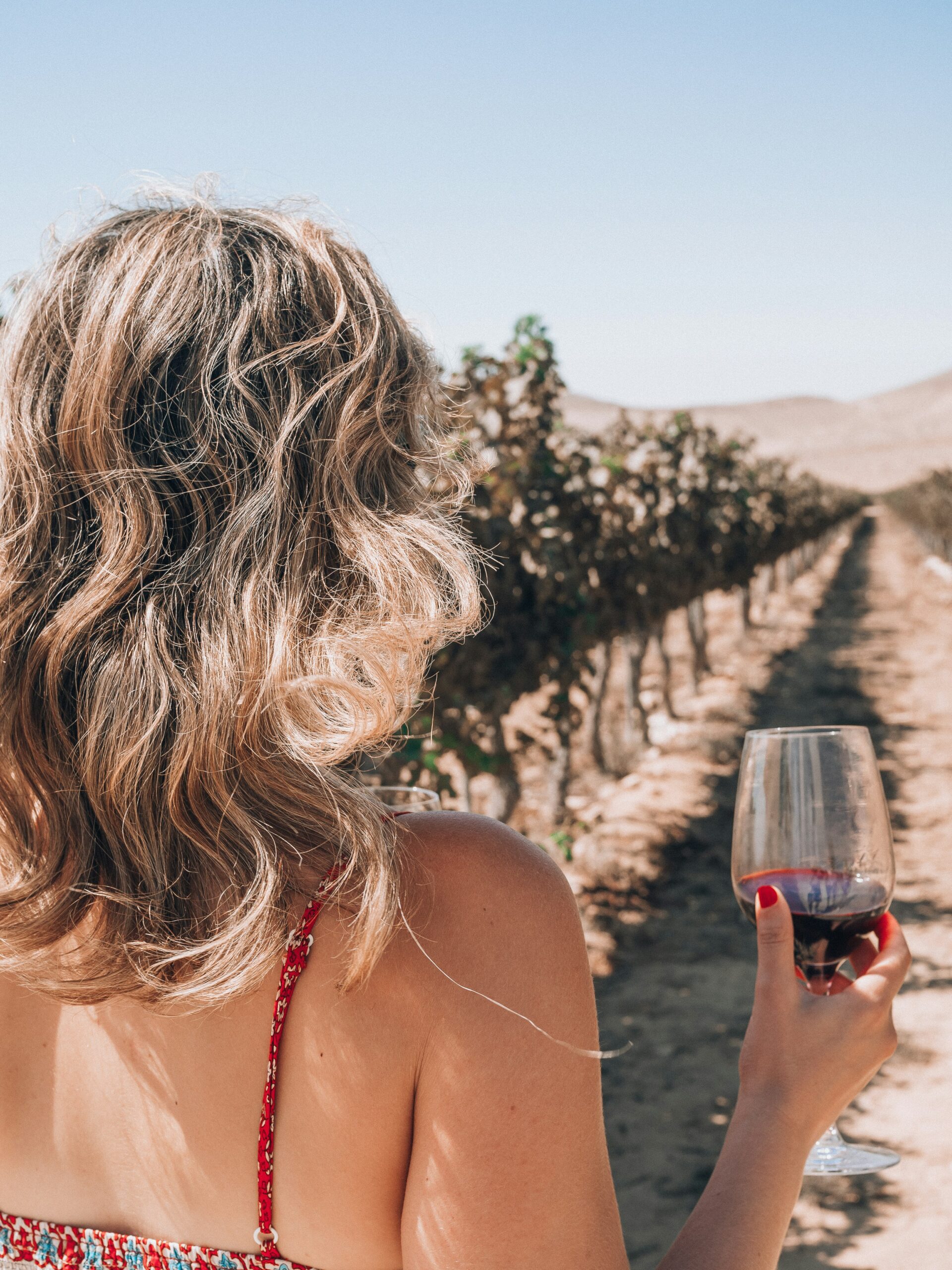 Santa Barbara Wineries: A Guide to the Best Vineyards and Tasting Rooms