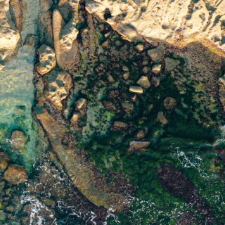 Tide Pools in Northern California: A Guide to Exploring the Coastline