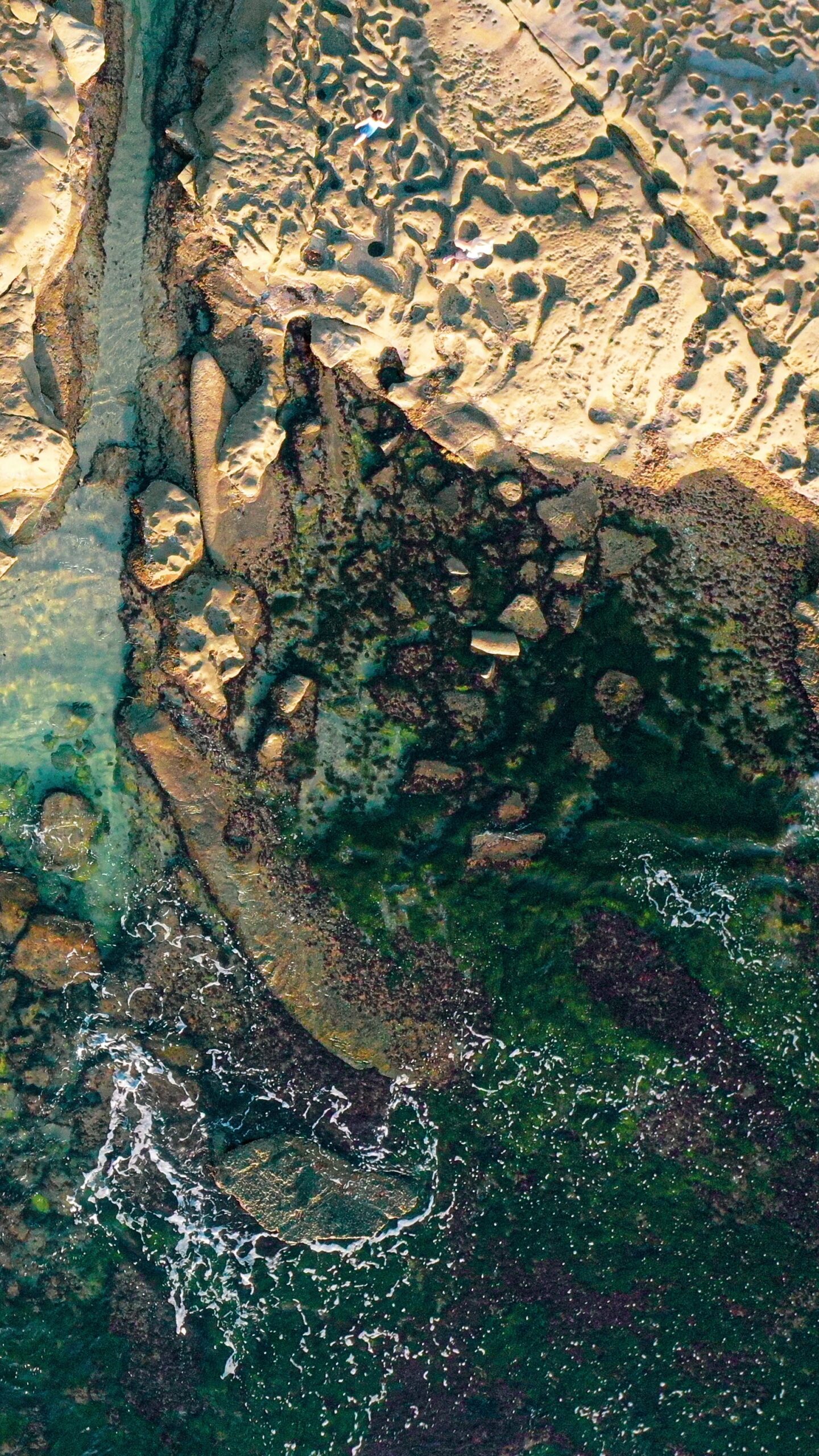 Tide Pools in Northern California: A Guide to Exploring the Coastline