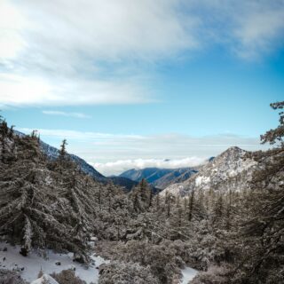 Mount Baldy: A Scenic Hiking Destination in California