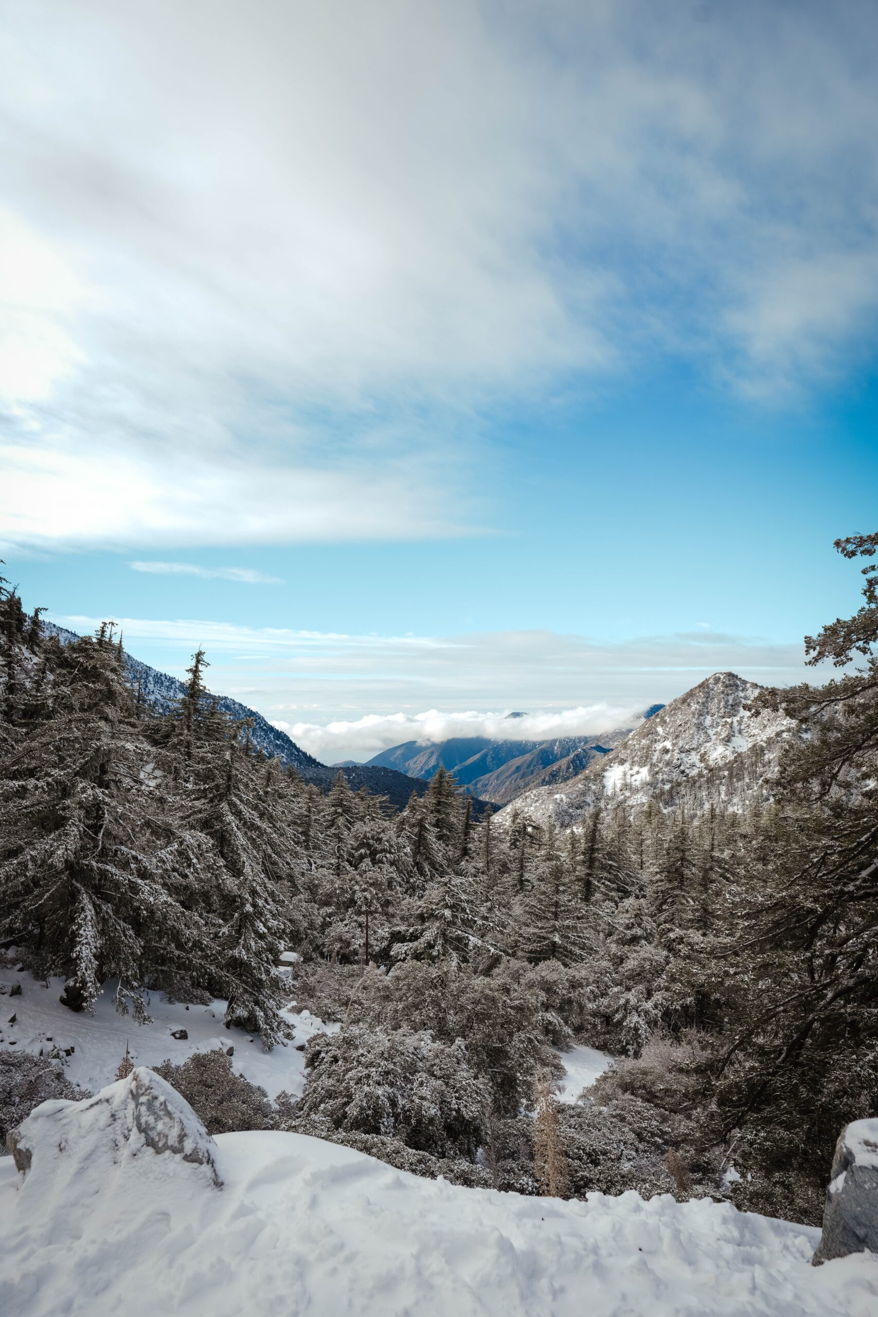 Mount Baldy: A Scenic Hiking Destination in California
