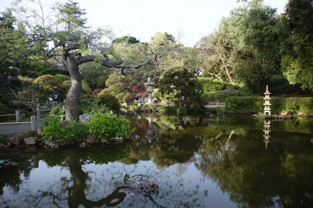 Botanical Gardens in California: Exploring the State's Natural Beauty