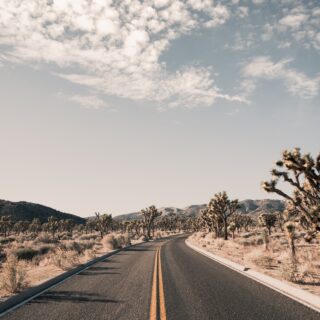 Visit Joshua Tree National Park: A Guide to the Best Hikes and Views