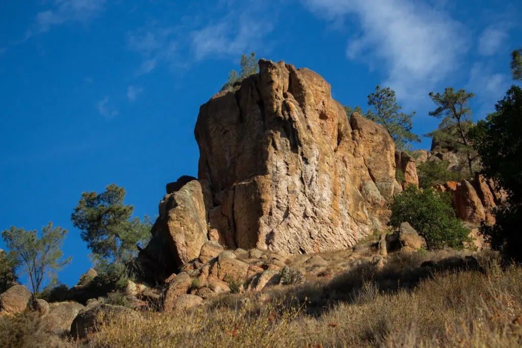 Pinnacles National Park: A Guide to Hiking and Wildlife Watching