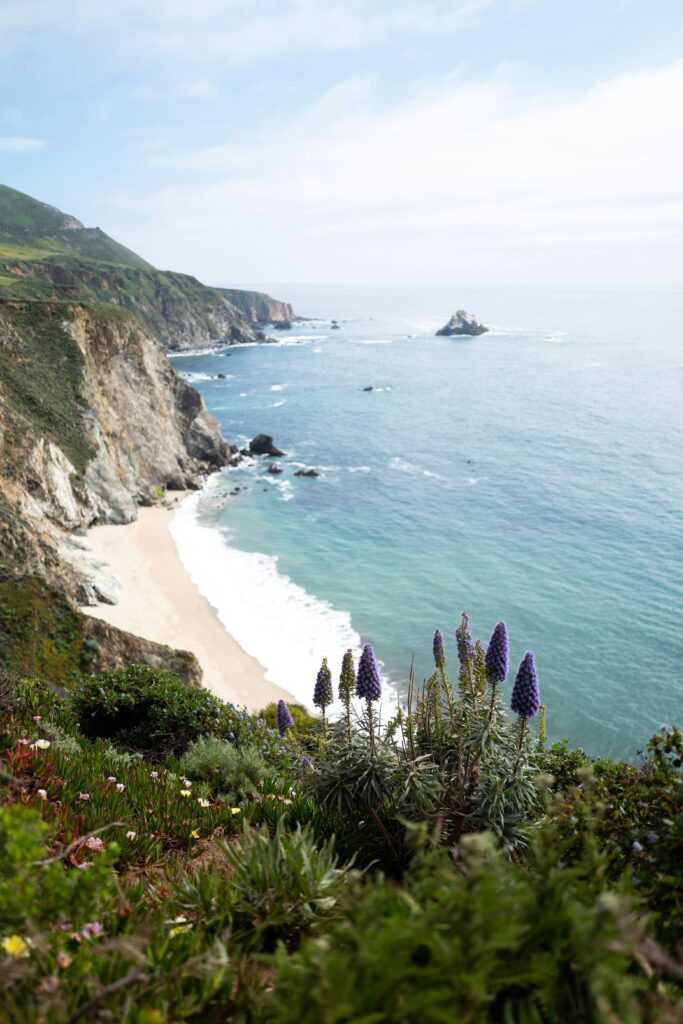 Things to Do in Northern California: A Guide to the Best Attractions and Activities