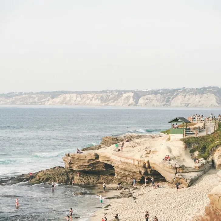La Jolla Cove: A Friendly Guide to San Diego's Most Picturesque Beach