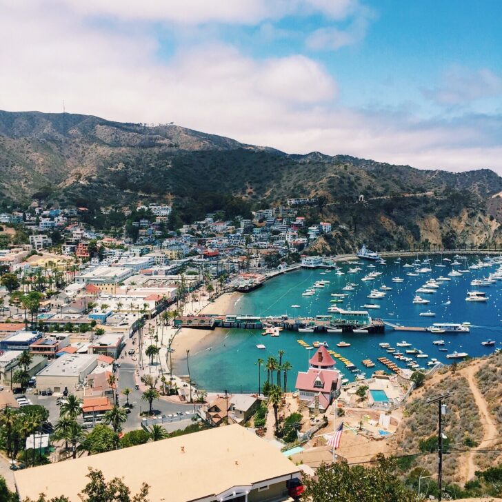 The Complete Guide to Catalina Island: Everything You Need to Know
