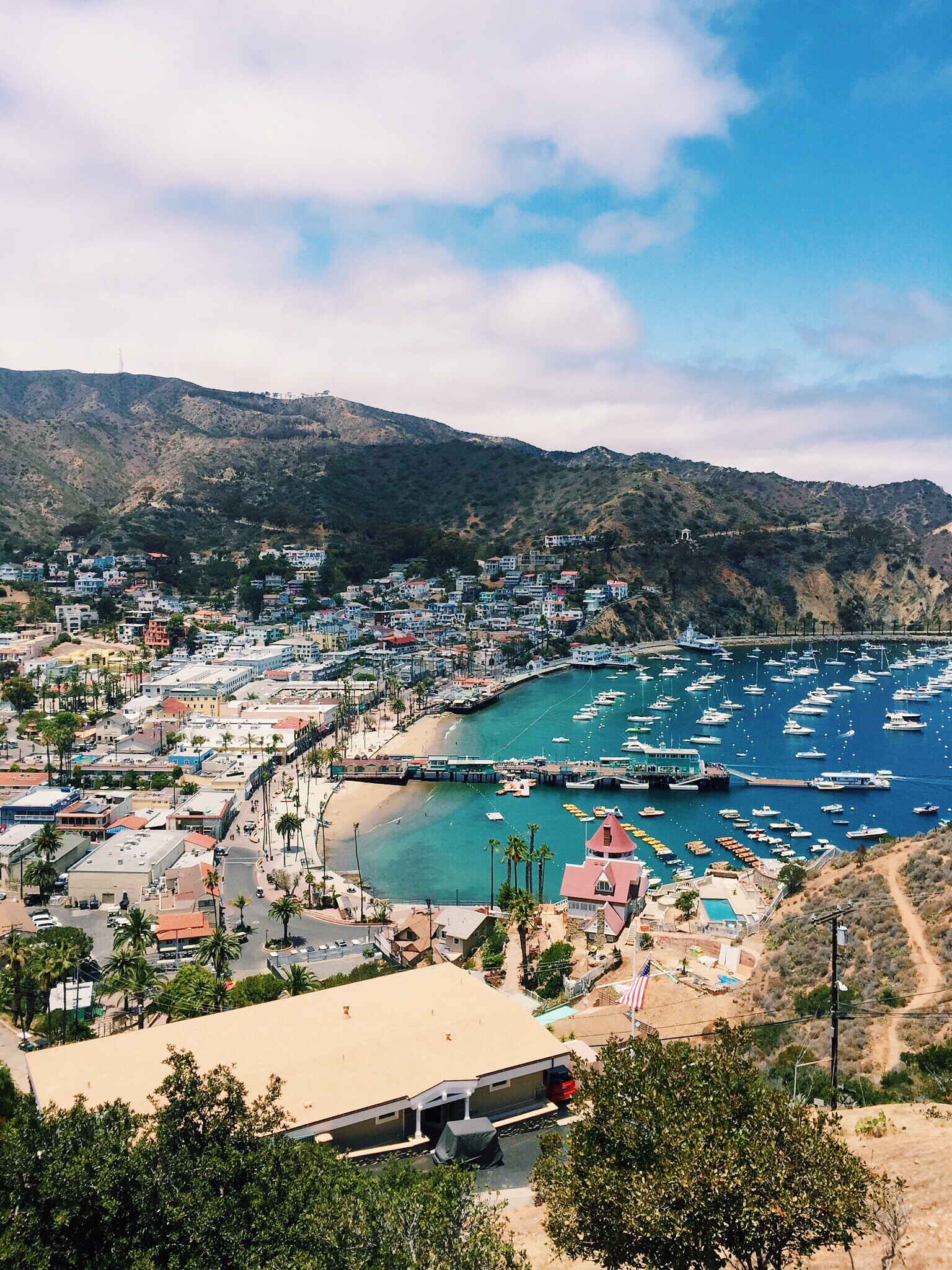The Complete Guide to Catalina Island: Everything You Need to Know