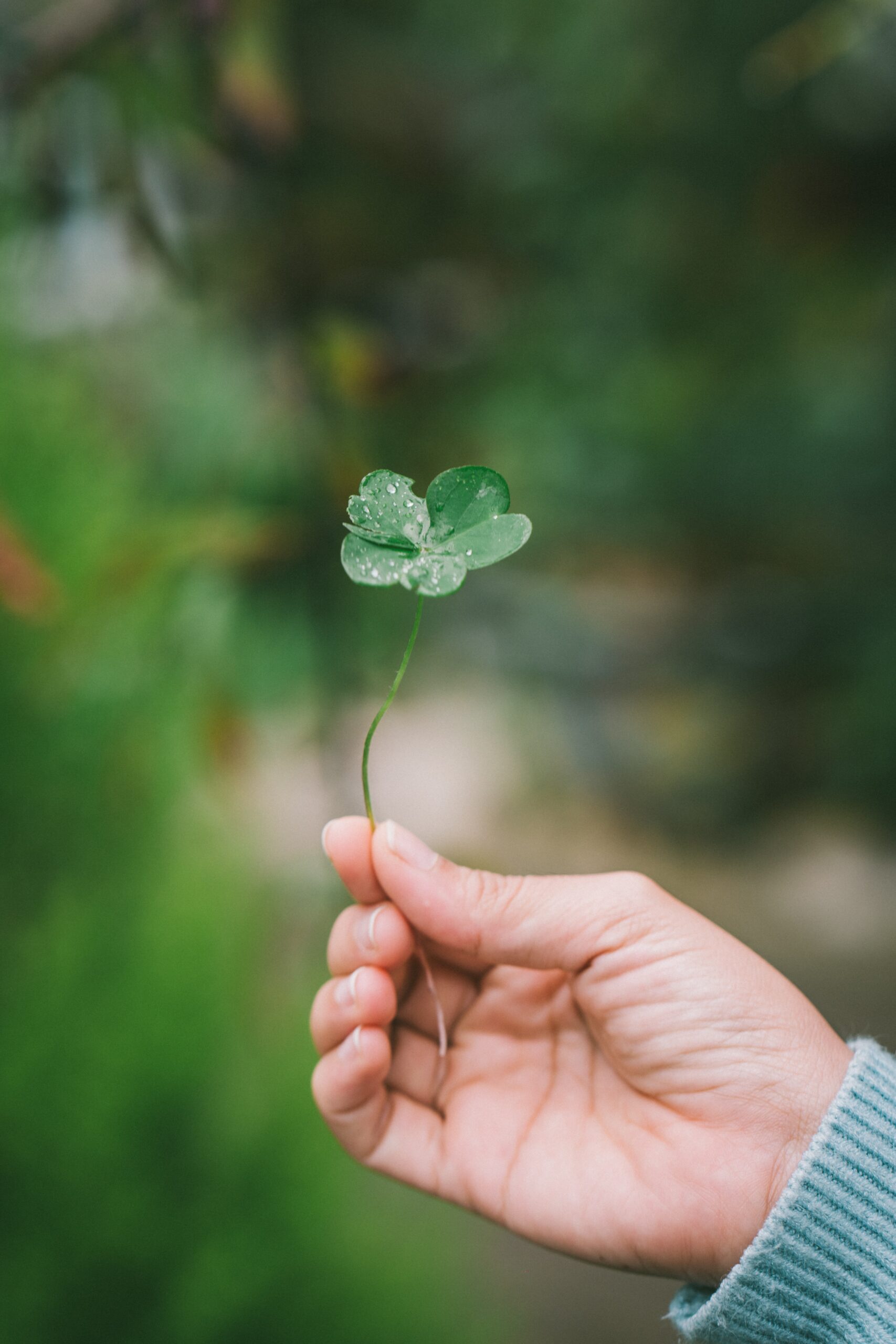 St. Patrick's Day Events in Northern California: Celebrate the Irish Heritage with Parades and Festivities