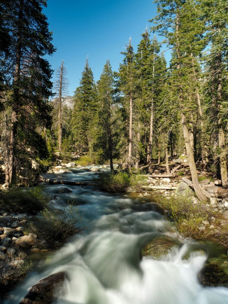 Sierra National Forest: A Guide to Hiking and Camping in California's Wilderness
