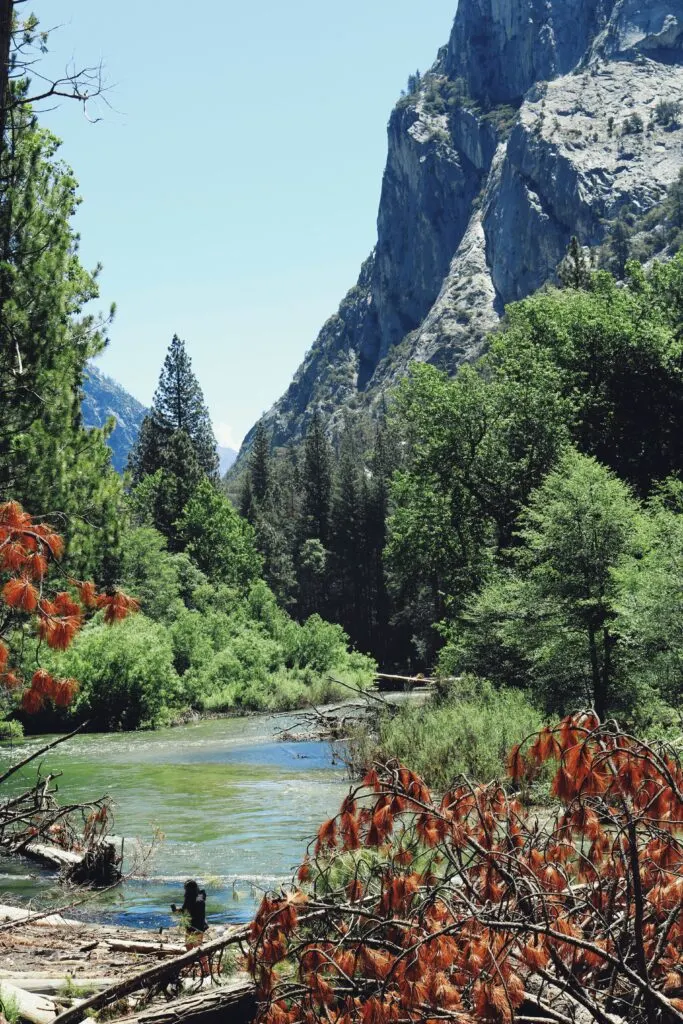 Most Beautiful Mountains in California: A Guide to the State's Stunning Peaks