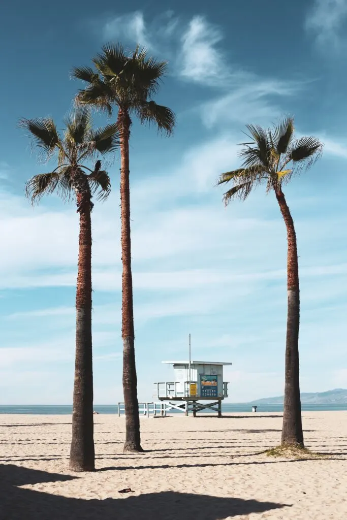 Best Beaches in California: Top 10 Must-Visit Coastal Destinations