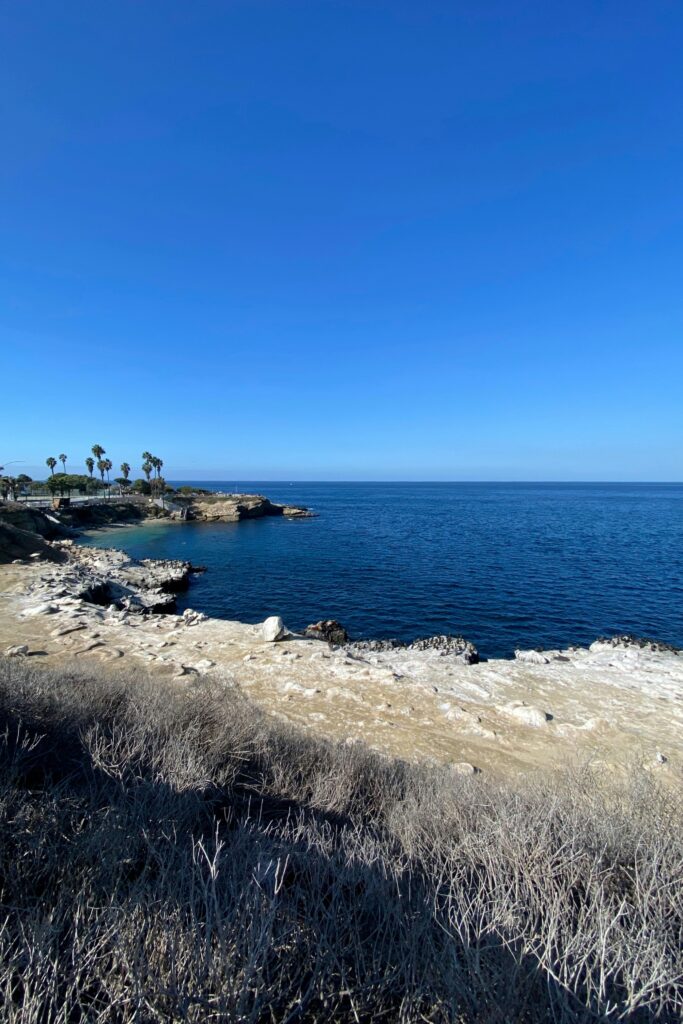 La Jolla Cove: A Friendly Guide to San Diego's Most Picturesque Beach
