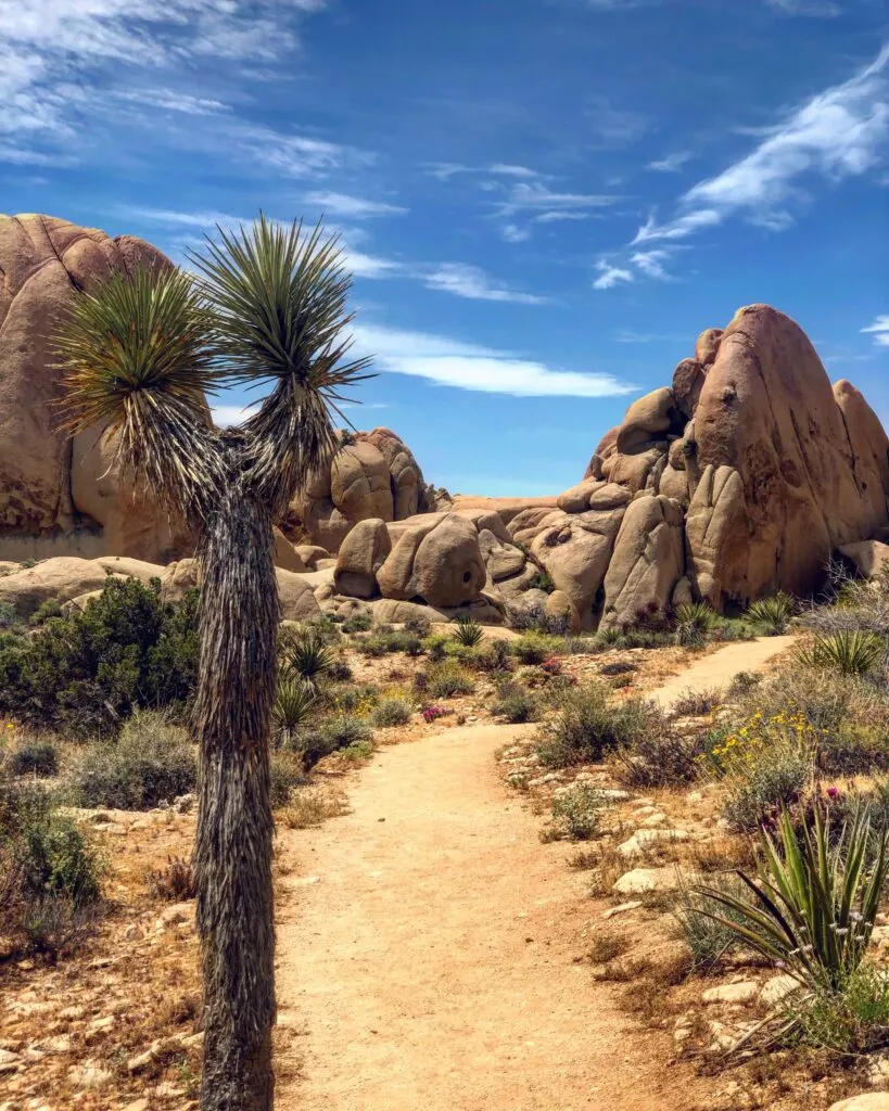 Best Hikes in Southern California: Iconic Trails of Southern California