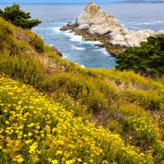 Complete Guide to Carmel-by-the-Sea: A Friendly Tourist Destination