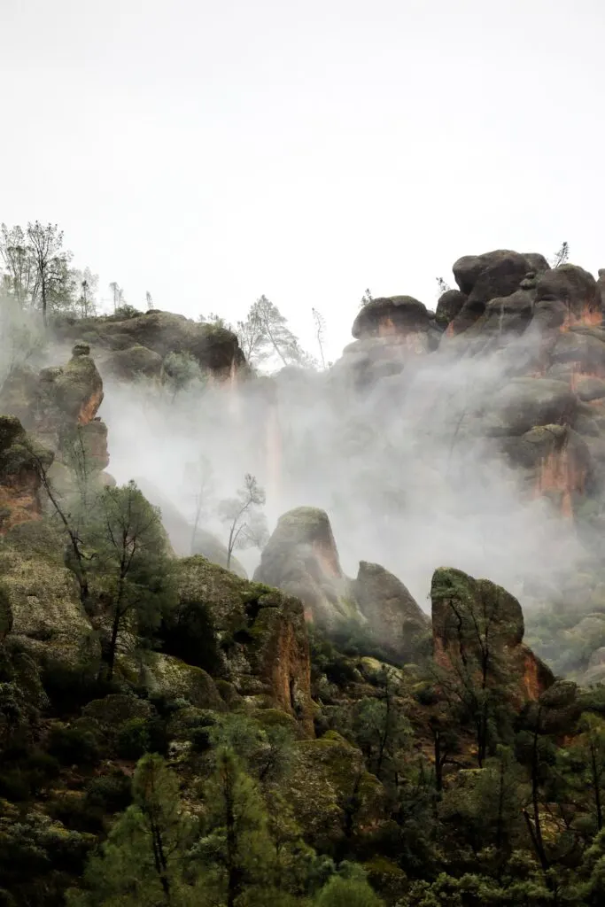 Pinnacles National Park: A Guide to Hiking and Wildlife Watching