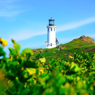 Visit Channel Islands National Park: A Guide to Exploring California's Hidden Gem