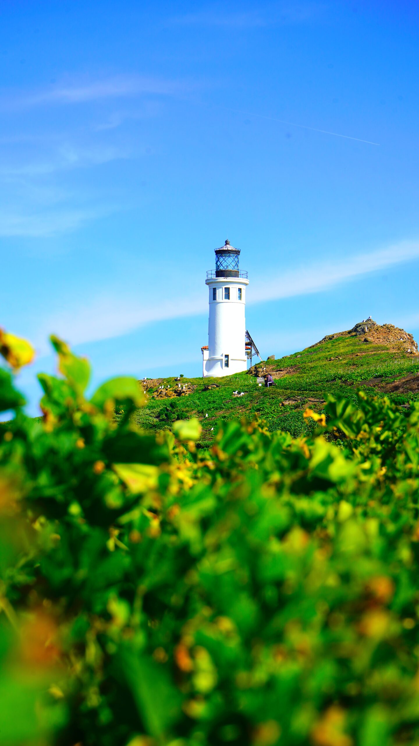 Visit Channel Islands National Park: A Guide to Exploring California's Hidden Gem