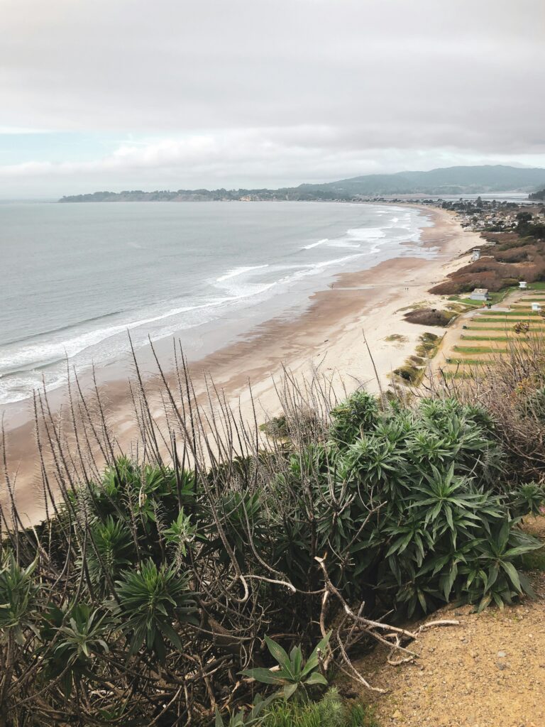 Best Northern California Beach Towns: Your Guide to Coastal Charm