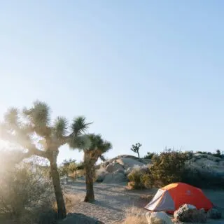 Camping in Southern California: Your Ultimate Guide to Adventure