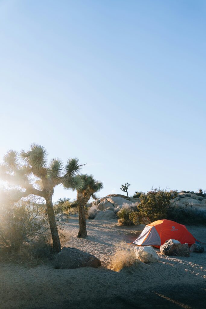 Camping in Southern California: Your Ultimate Guide to Adventure