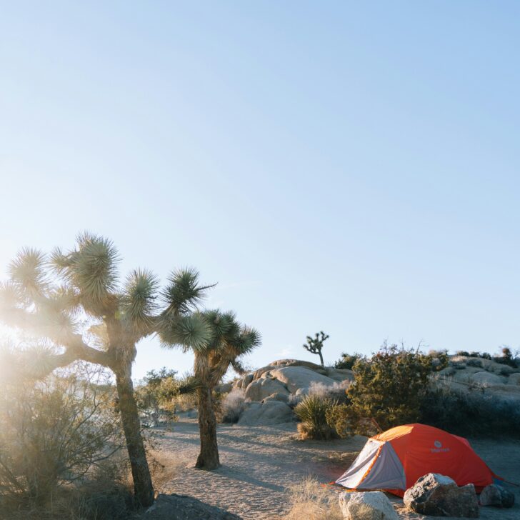 Camping in Southern California: Your Ultimate Guide to Adventure