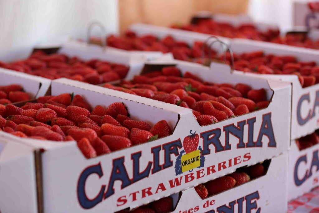 Strawberry Festival California: A Sweet Celebration You Can't Miss