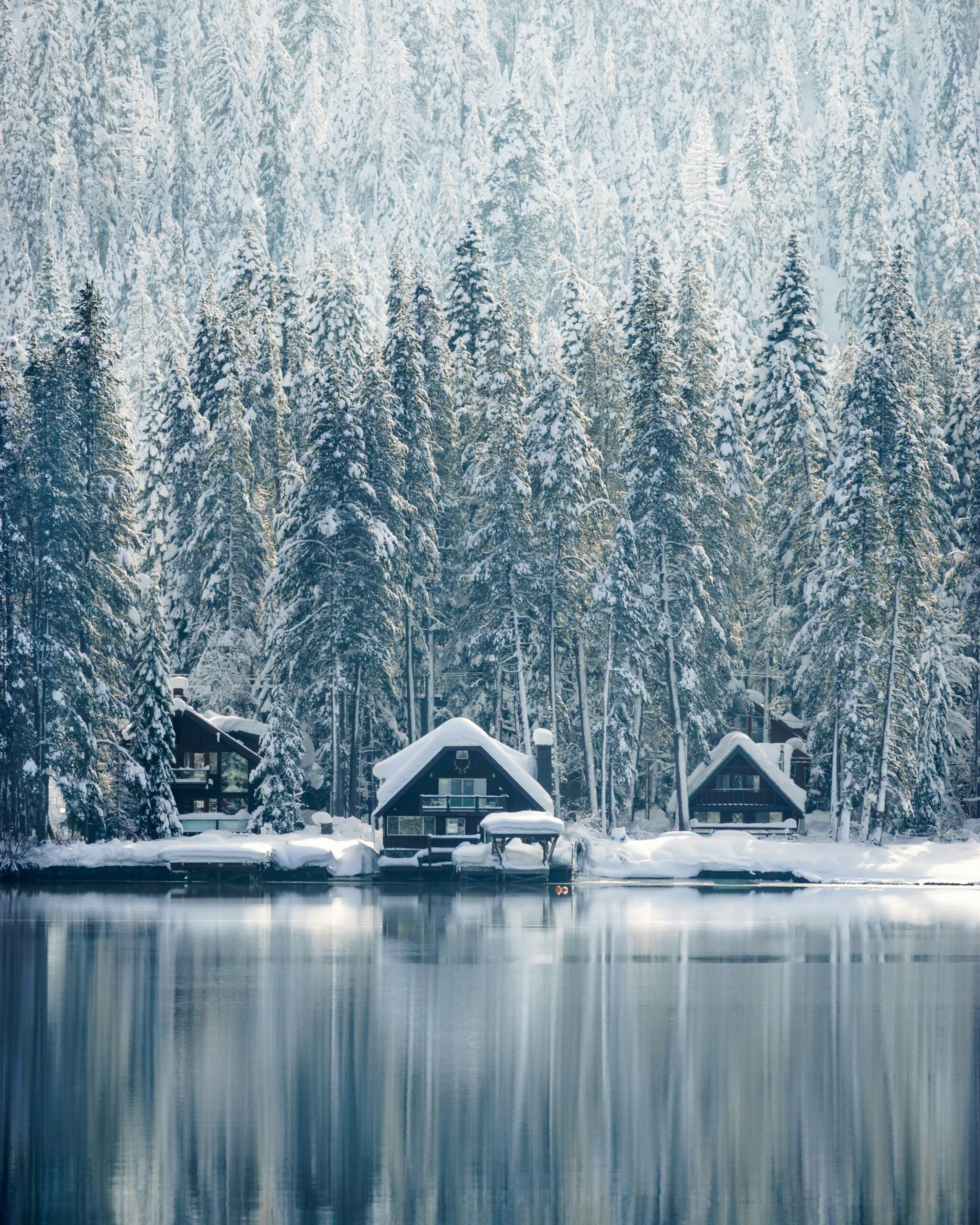 Truckee California: Your Gateway to Mountain Adventure