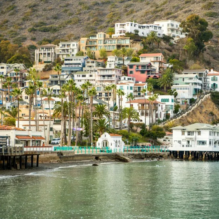 Catalina Island Hotels: Your Guide to Idyllic Stays