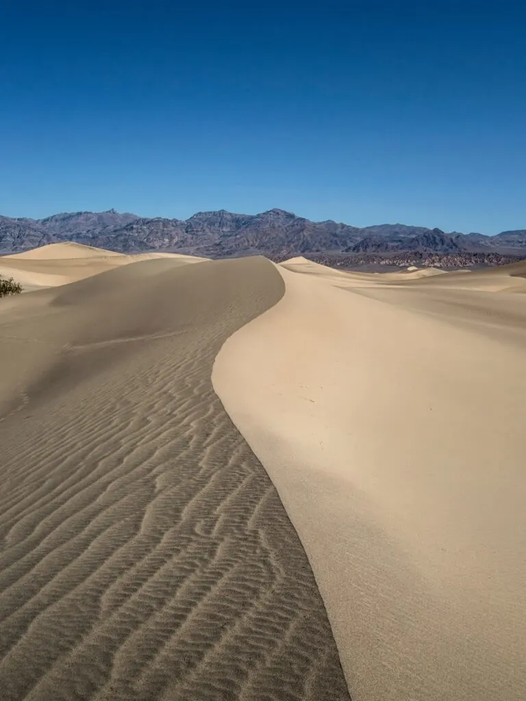 Best Sand Dunes on the California Coast: A Guide to Spectacular Sandy Adventures