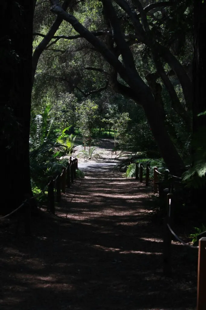 Descanso Gardens: A Tranquil Retreat Amidst Blooming Wonders