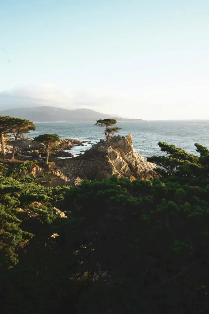 Visit Monterey California: Your Guide to a Memorable Coastal Getaway