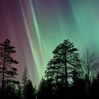 Northern Lights California: A Guide to Seeing the Aurora Borealis