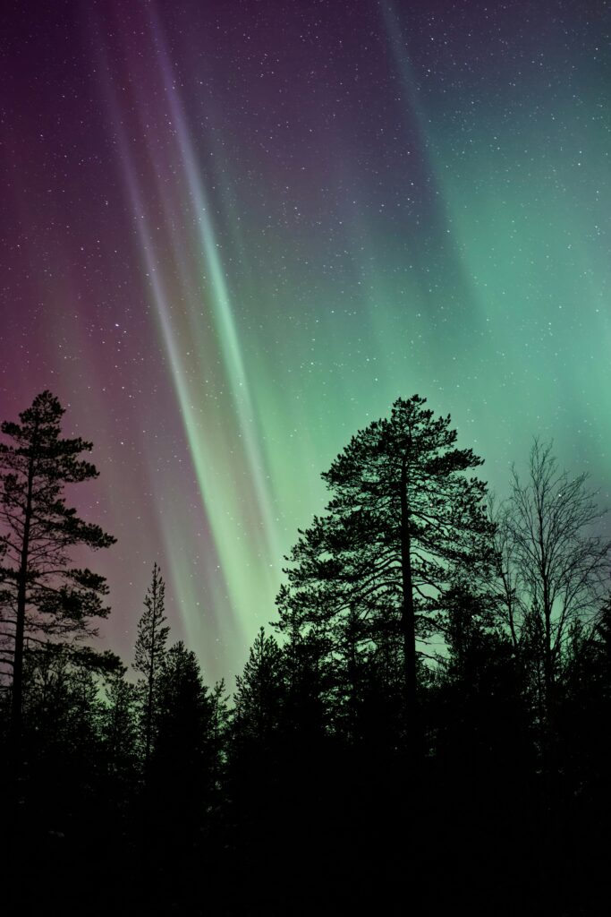 Northern Lights California: A Guide to Seeing the Aurora Borealis
