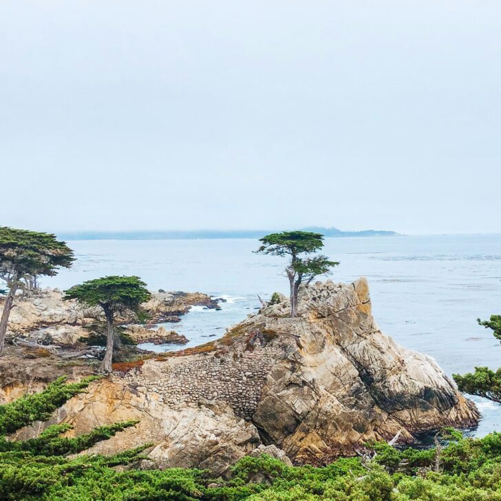 17-Mile Drive in Monterey: Scenic Coastal Journey Tips