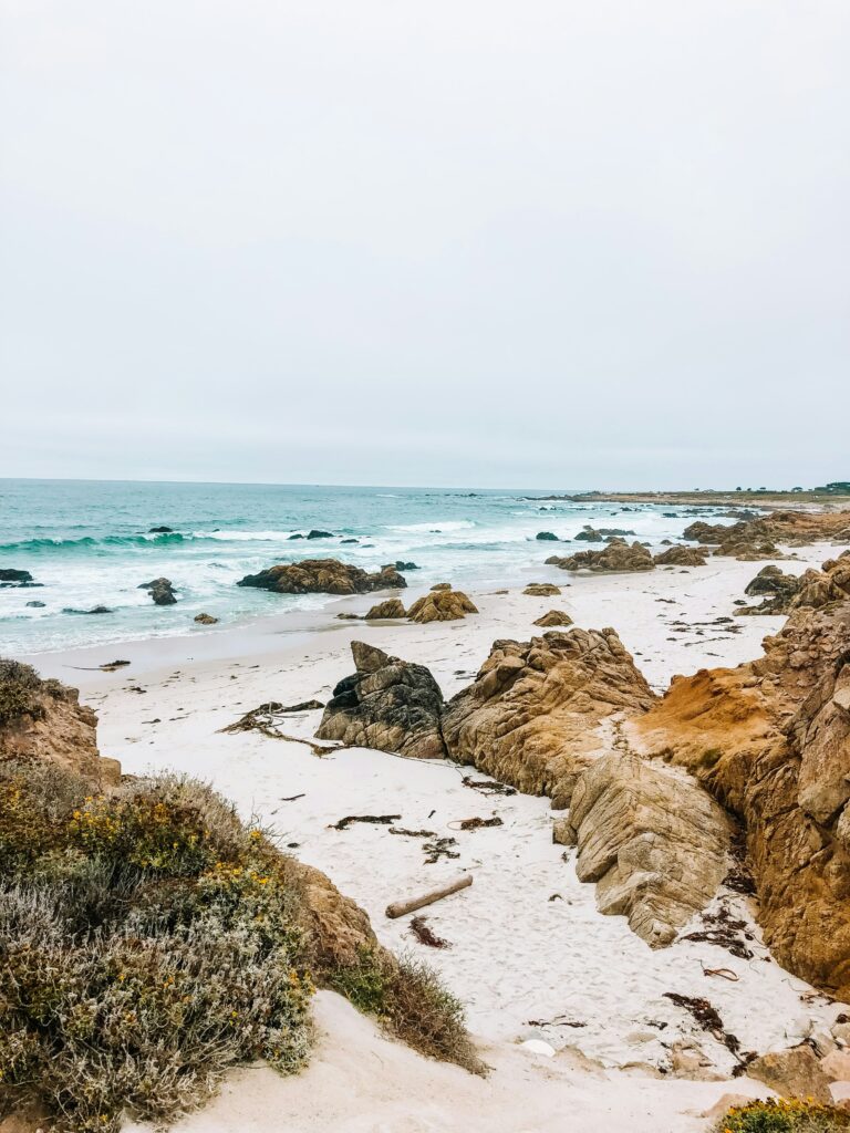 17-Mile Drive in Monterey: Scenic Coastal Journey Tips