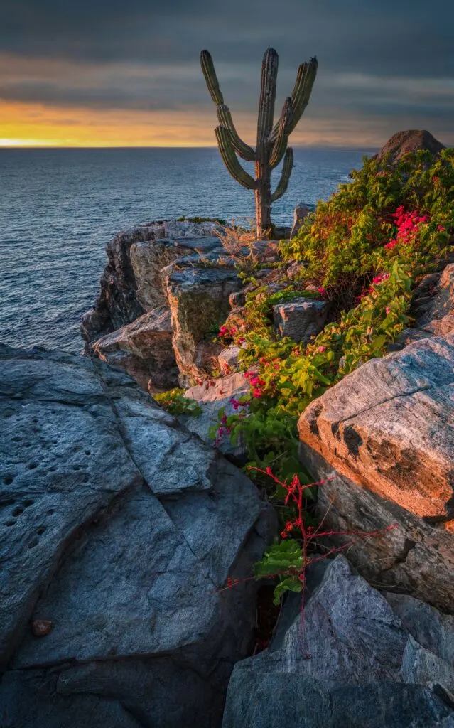 Baja California: Mexico's Sun-Soaked Paradise by the Pacific